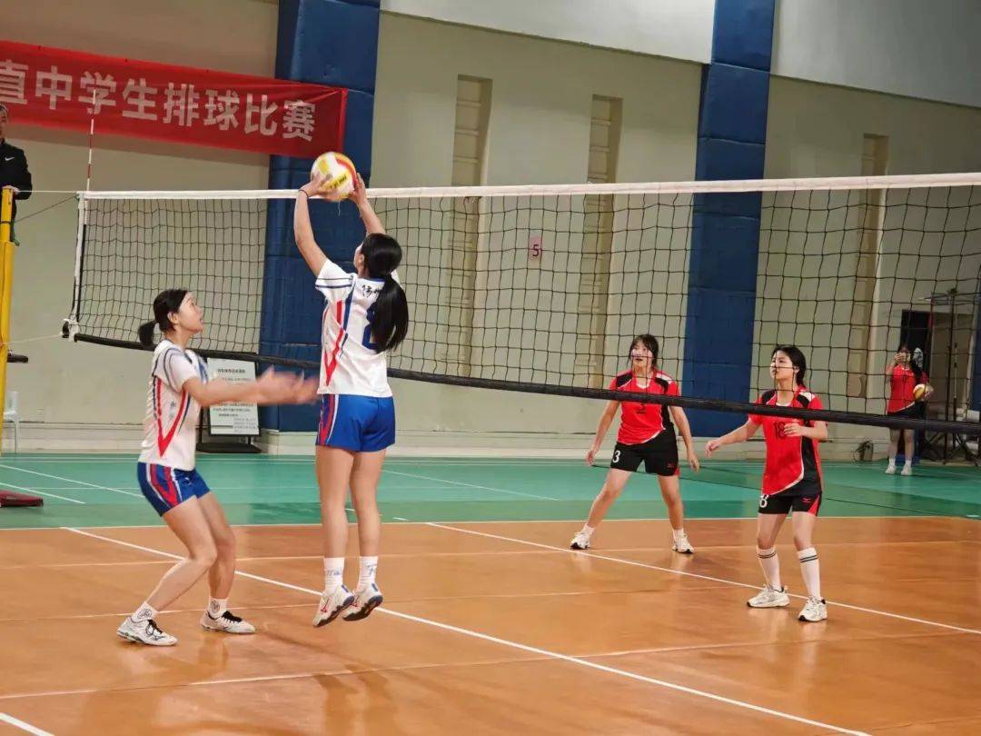 关于全国青少年排球锦标赛，青春的热血在场上绽放的信息
