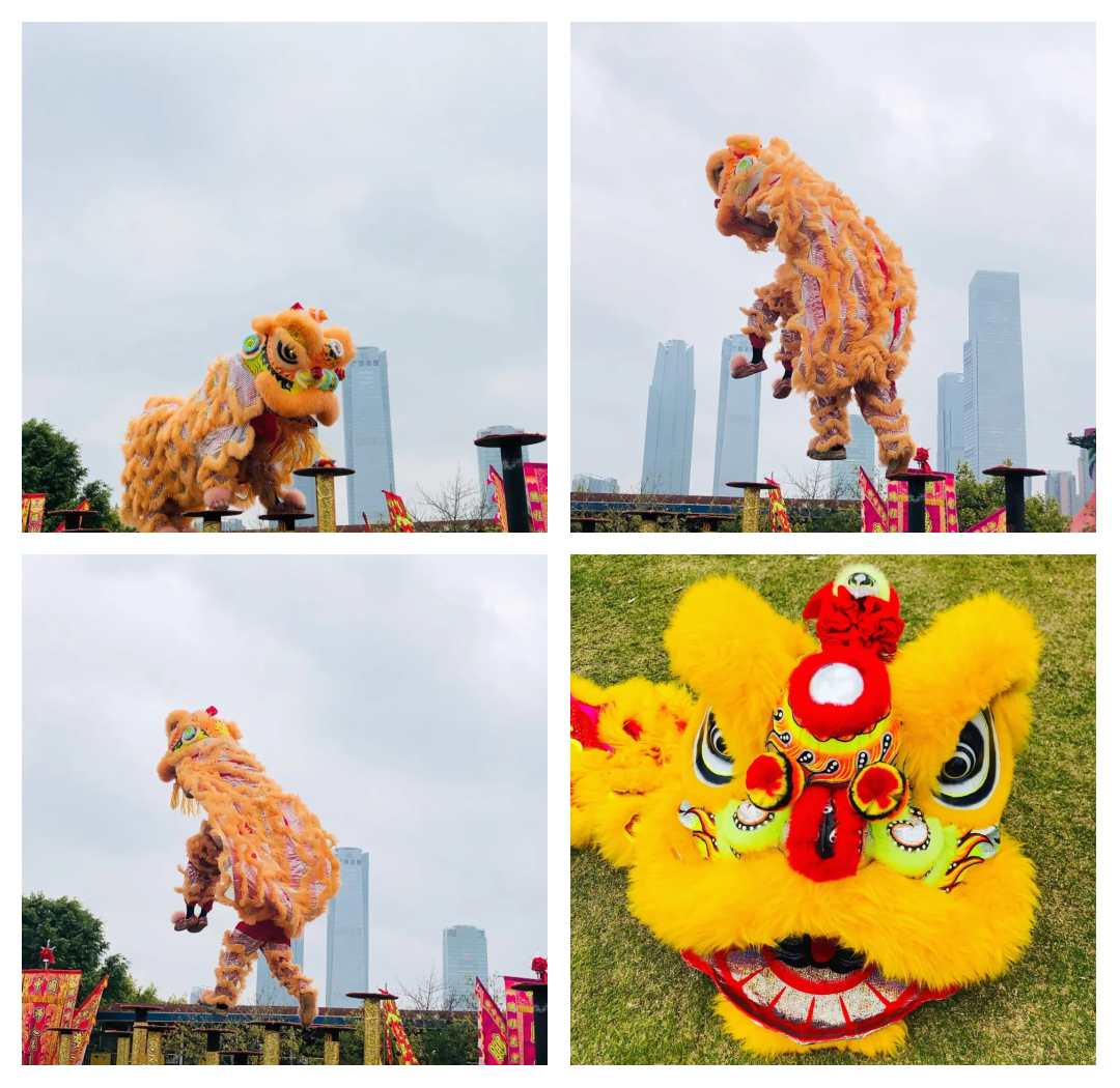 包含传统舞狮竞技赛，舞动青春的民族精粹的词条