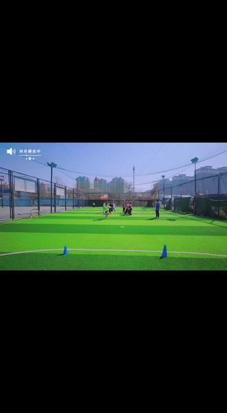 关于青训场馆智能化升级，打造“绿色智慧”青训环境的信息